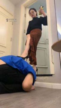 ʦģ